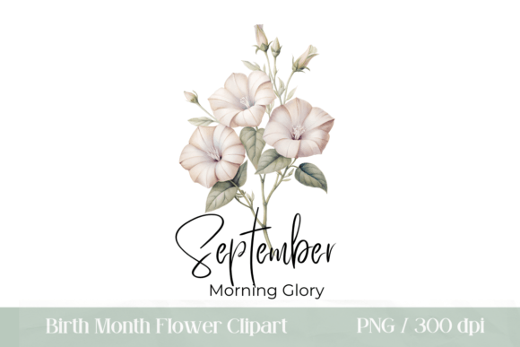 Download September Birth Month Flower PNG - Birth month flower Collection