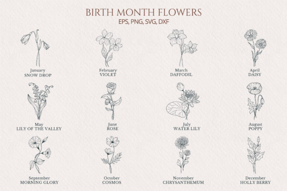 Download Hand Drawn Birth Month Flower Collection - Birth month flower Collection
