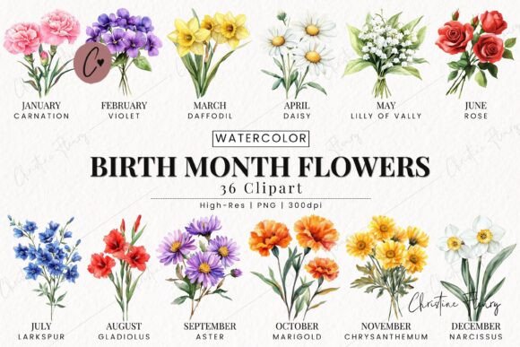Download Birth Month Flower Clipart Bundle - Birth month flower Collection