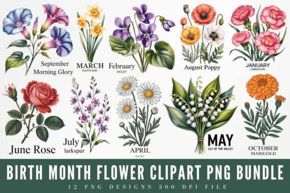 Download Birth Month Flower Clipart PNG Designs - Birth month flower Collection