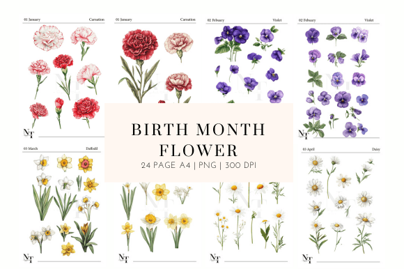 Download Birth Month Flower Clipart PNG - Birth month flower Collection